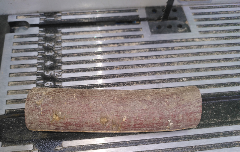 Sawing an apple branch 1