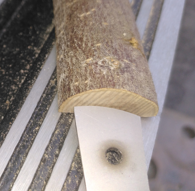 Check how thick to slice the scales