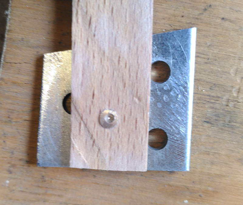 Beech and brass 2